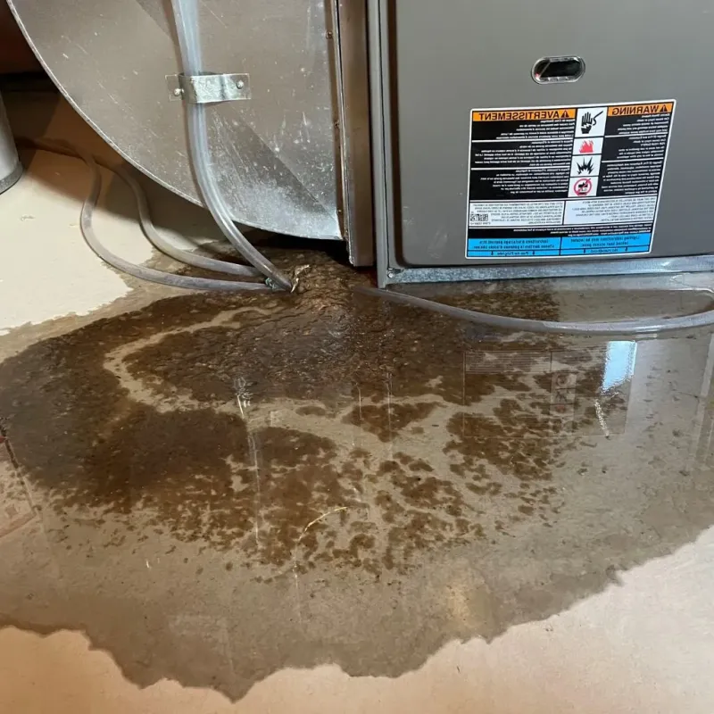 Pipe Burst and Leak Restoration in Raubsville, PA